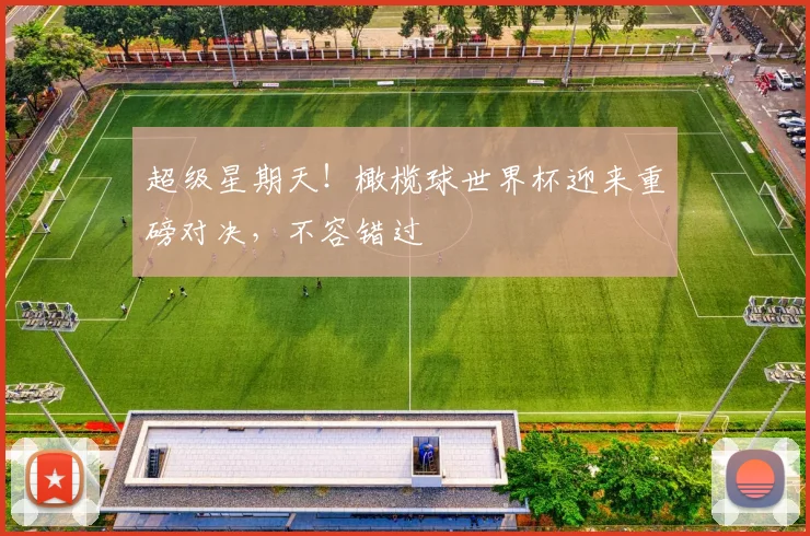 超级星期天！橄榄球世界杯迎来重磅对决，不容错过