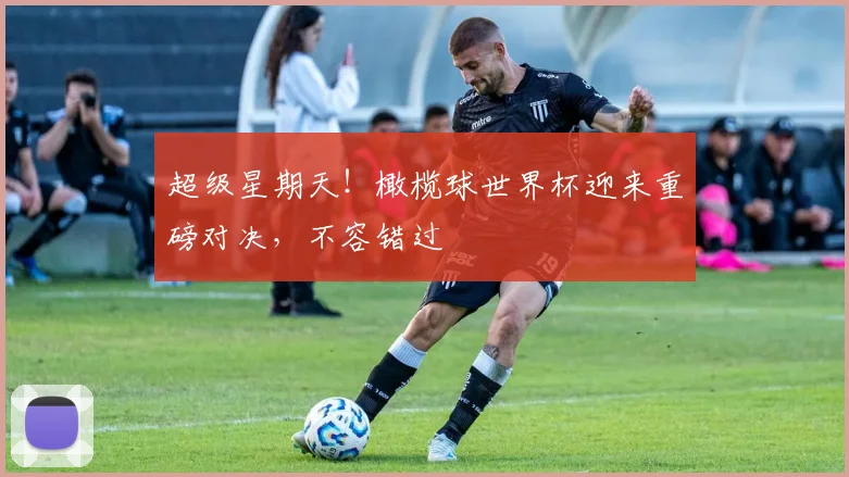 超级星期天！橄榄球世界杯迎来重磅对决，不容错过
